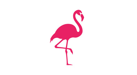 Pink Flamingo Bird Standing Alone.