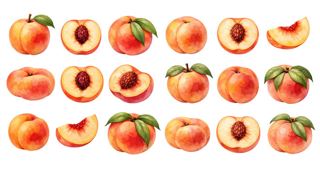 A charming watercolor collection of peaches, including whole fuzzy peaches, halved peaches with visible pits, juicy sliced wedges, soft green leaves, and warm coral-to-golden gradients.