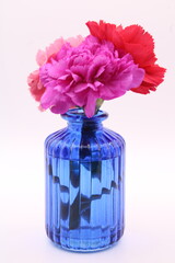 Three carnations on a blue vase 