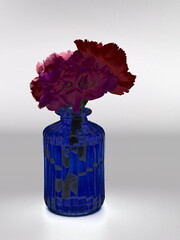 Blue vase with carnation flowers 