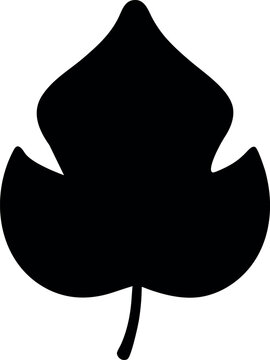 Fig Leaf Silhouette Botanical Nature Illustration