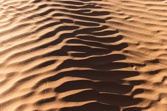 Namibia - Namib Naukluft Park - Sossusvlei - Close up texture of wind ripples on sand dune with sharp shadow lines