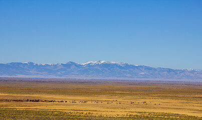 Obraz premium The park is located at the foot of the Sangre de Cristo Mountains, where unique geological and climatic conditions have allowed a giant dune field to form.