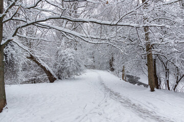 Fototapeta premium Winter Landscape of South Park in city of Sofia, Bulgaria