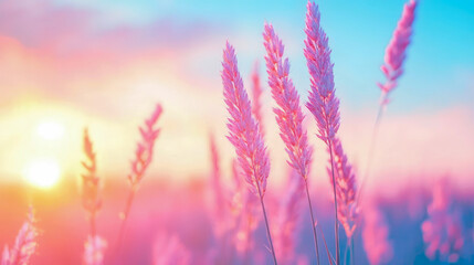 Fototapeta premium Vibrant Pink Grass Seed Heads Silhouetted Against Softly Blurred Pastel Sunrise Sky with Turquoise Hues, Macro Focus, Dreamy Atmosphere