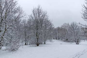 Winter Landscape of South Park in city of Sofia, Bulgaria