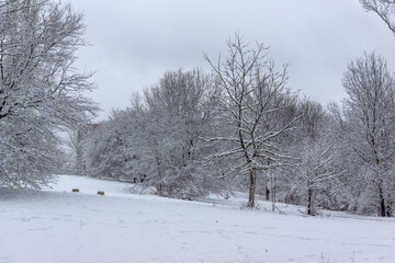 Fototapeta premium Winter Landscape of South Park in city of Sofia, Bulgaria