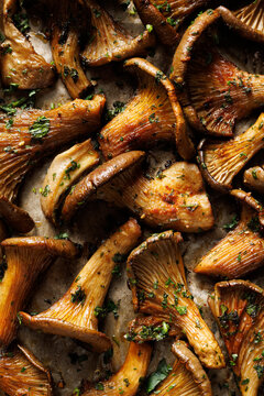 Grilled oyster mushrooms in a herb marinade, top view. Mushroom background