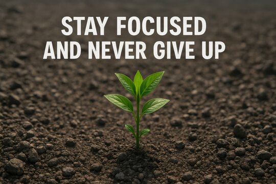 A vibrant green seedling pushes through dry, dark soil, accompanied by the motivational phrase "STAY FOCUSED AND NEVER GIVE UP," symbolizing resilience, growth, and new beginnings. Ideal for business