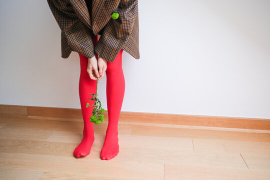 A girl's legs with red tights and greenery in a minimalistic studio