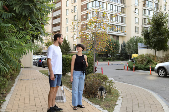a man and a woman walk with a dog on the street