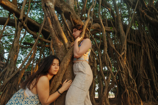 Mutual Comfort Between Humans and Nature