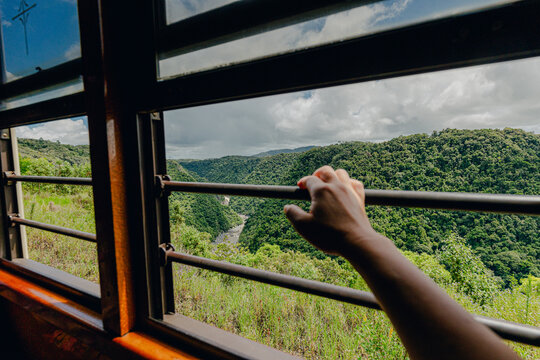 Enjoying the view of lush nature from the scenic train ride