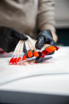 Manicure Palette For Color Choice By Client