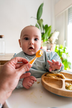 Baby eating puree with spoon