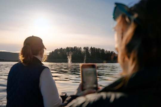Capturing a Moment Whale Watching 