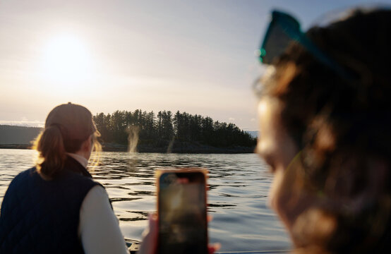 Whale Watching in Juneau Alaska 