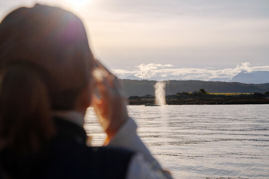 Watching Whales in Juneau 
