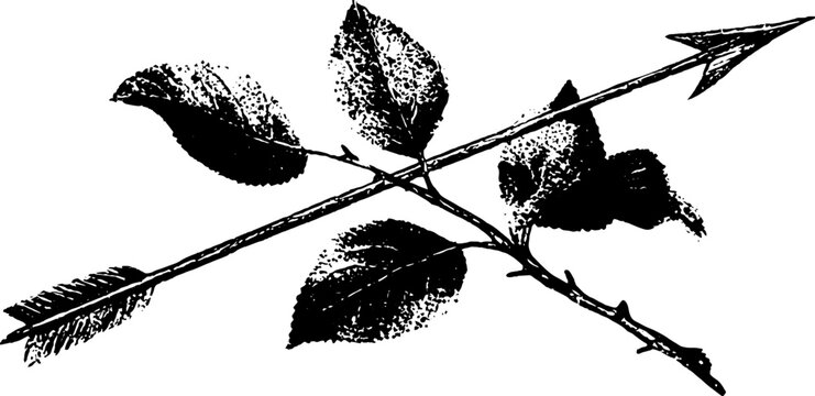 Elegant bow and laurel high contrast ink art for design and decoration