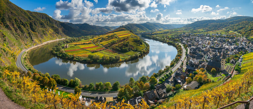 The Moselle loop near a beautiful Bremm village with Stuben Monastery ruins and surrounding vineyards in autumn season. Germany