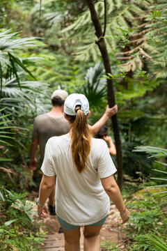Hikers walking through a lush green forest trail in Australia