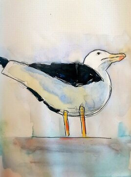 Croquis color&eacute; &agrave; l'aquarelle d'un go&eacute;land en contre plong&eacute;e 