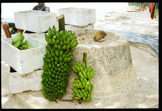 Fresh green bananas displayed at a market in a tropical location