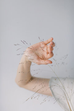 Hand with Dried Grass
