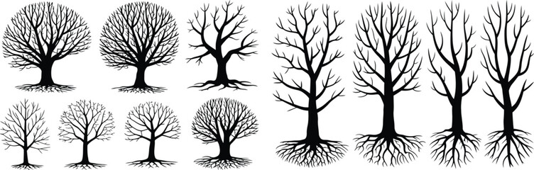 Obraz premium Tree silhouette vector illustration, leafless tree design, black tree art, branching roots shapes, nature outline inspiration, forest anatomy, botanical study graphic