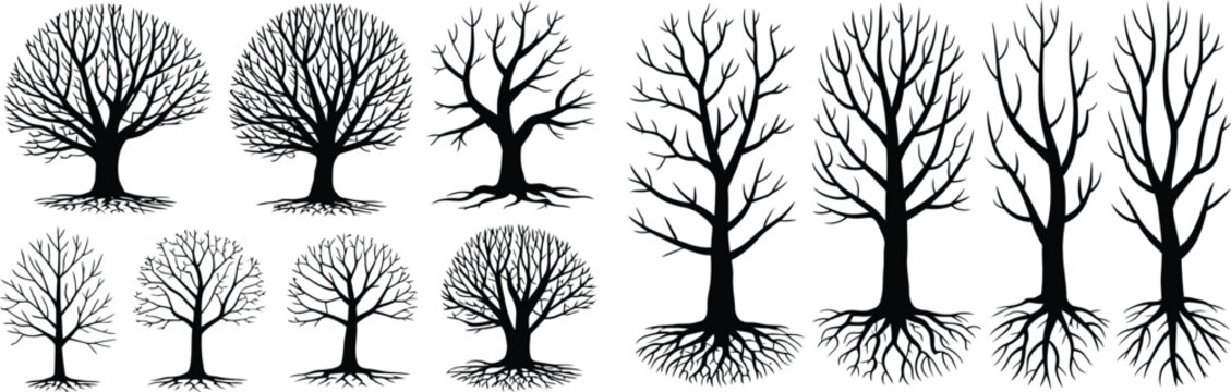 Tree silhouette vector illustration, leafless tree design, black tree art, branching roots shapes, nature outline inspiration, forest anatomy, botanical study graphic