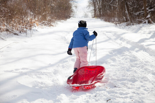 Snow day:  Pulling the sled back up the forest hill