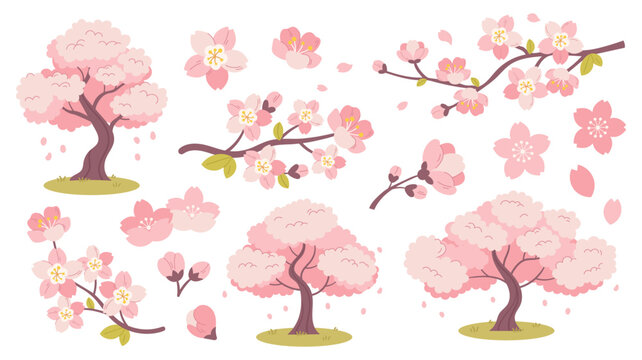 Beautiful vector set of hand-drawn sakura elements: blooming branches, individual cherry blossoms, and falling petals. Perfect for spring-themed branding, wedding invitations, and Japanese culture des