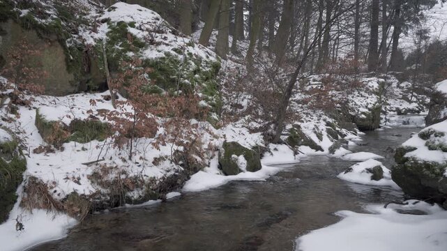 Winter Forest Stream in Little Carpathians, Slovakia