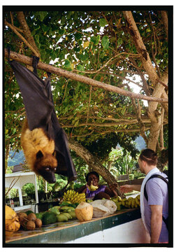 Fruit seller communicates with buyers at the market