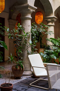 Patio decor with tropical plants and chairs