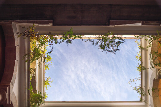 Sky View From an Open Rooftop With Greenery and Blue Clouds