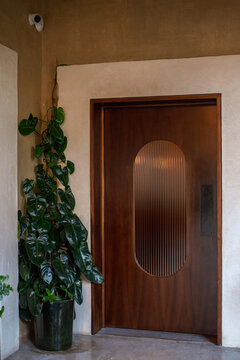 Wooden door with potted tropical plant