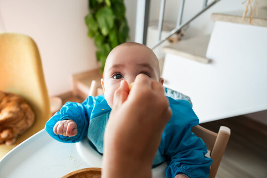 portrait of a baby eating