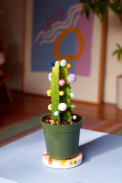 Pom poms on cactus