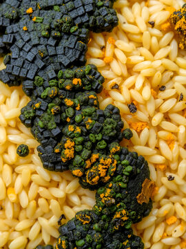 A dismal sight unfolds as rice grains play host to a grotesque display of mold. Black, green, and yellow hues intertwine, signaling a festering infestation of fungal invaders. Fungal background.