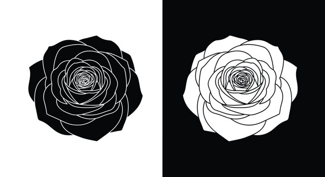 Simple yet elegant black and white vector illustration of a single open rose bloom displayed in opposing color schemes