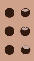 Obraz premium Set of Isolated Coconut Cup