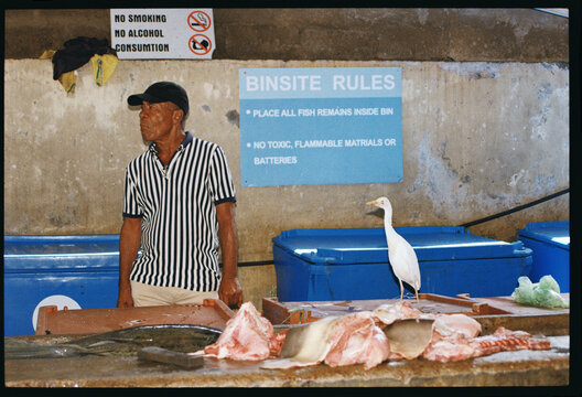 Fisherman stands at market with bird near fresh fish display