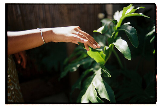 A woman's hand with a bracelet and wedding ring holding a leaf