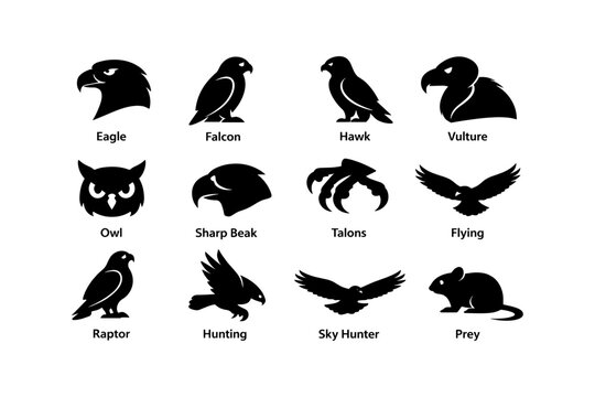 Silhouette icons of birds of prey with talons and beaks