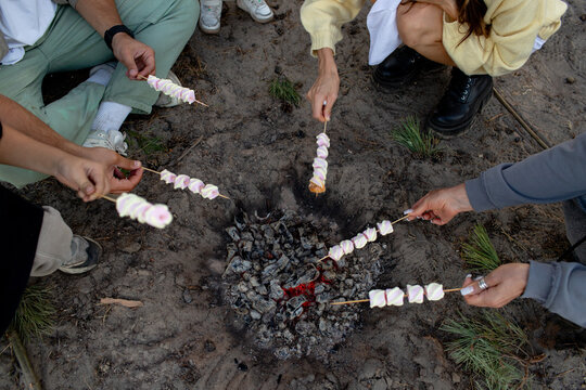 the family cooks marshmallows on the fire