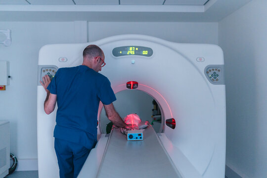 Doctor preparing cat scan procedure in veterinary clinic