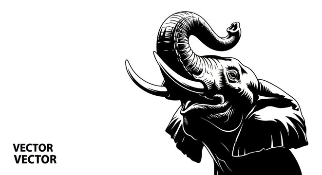 Majestic Elephant Head Drawing with Trunk Raised