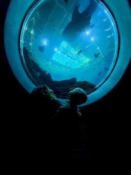Mother and son enjoying time at an aquarium