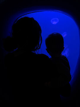 Mother and toddler son looking at jellyfish at an aquarium.